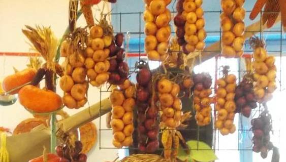 47 sagra del cardo, della bagna cauda e della cipolla piattellina